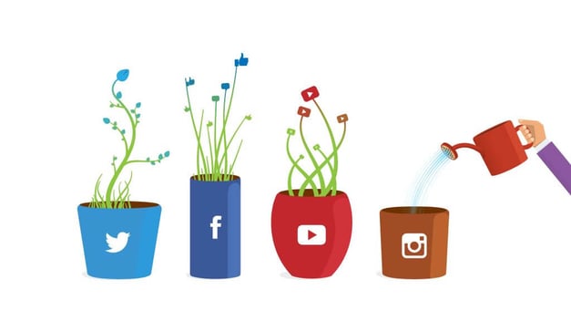 follower-illustration-social-media-peregrine-communications