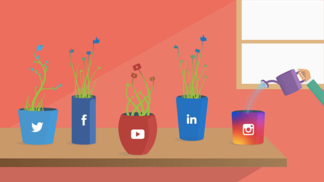 grow social media presence