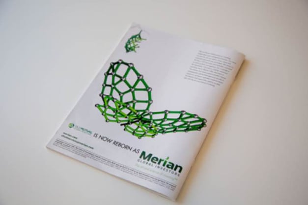 merian print ad example