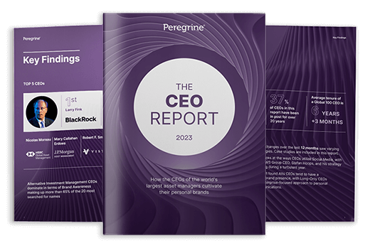 CEO Report 2023 cover