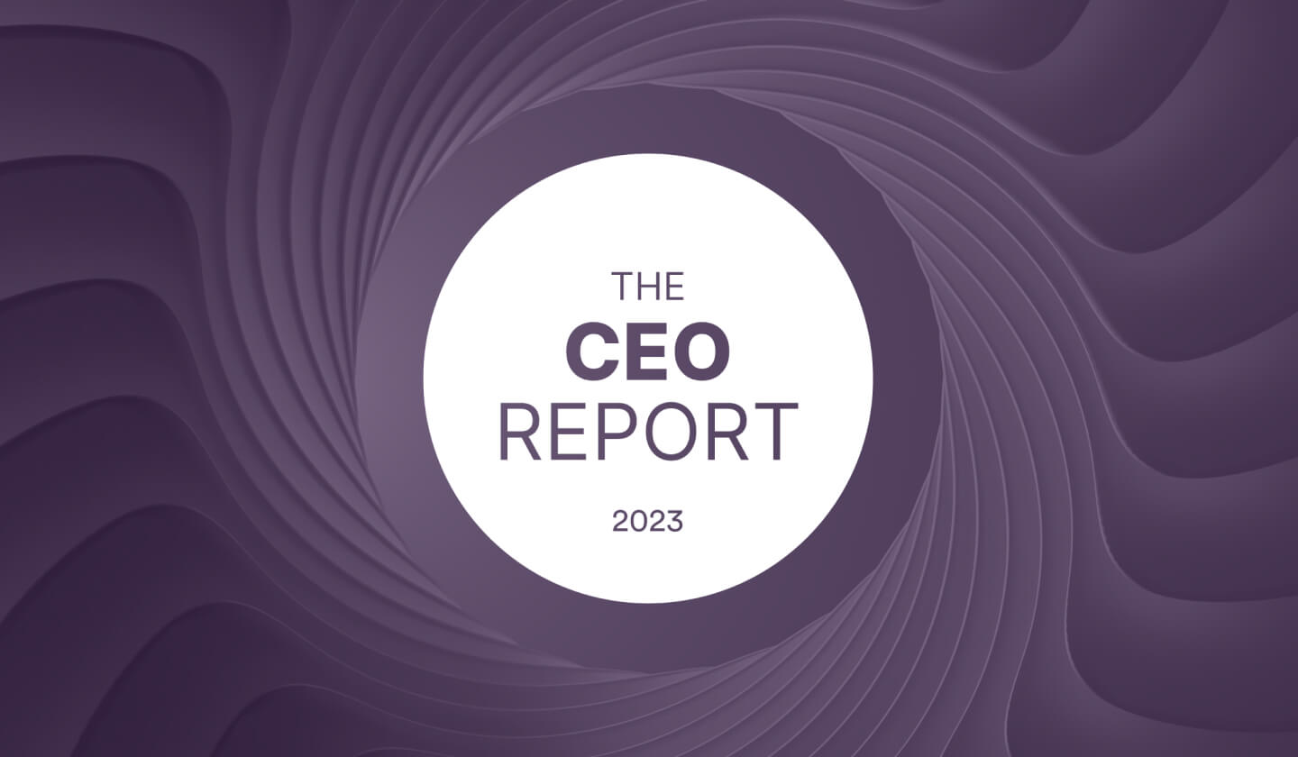 The CEO Report 2023