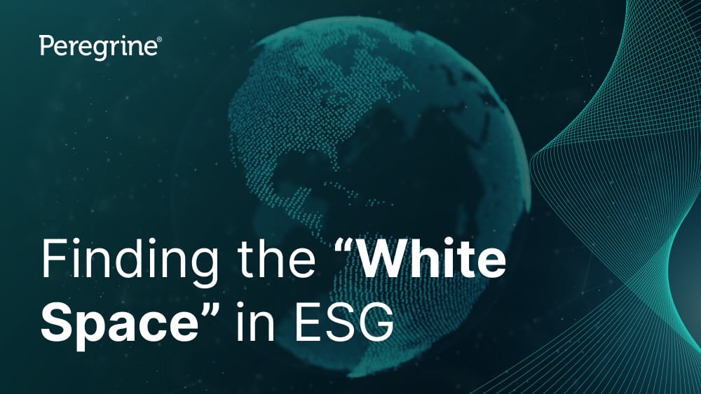 Finding the White Space in ESG