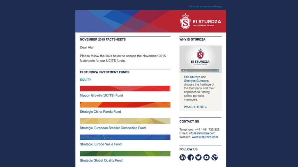 EI Sturdza – Digital & social advertising newsletter example