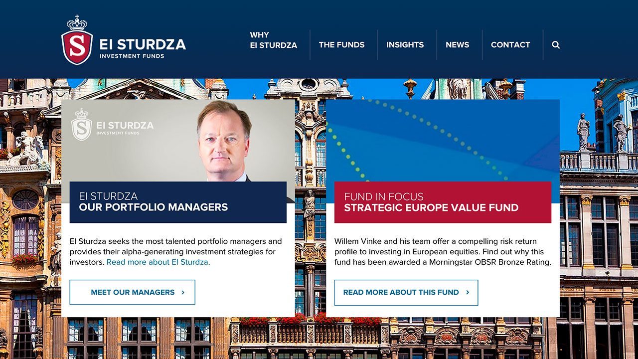 EI Sturdza - Website development