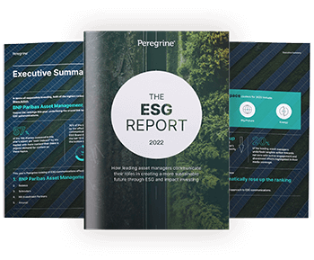 ESG Report 2022 Cover Example